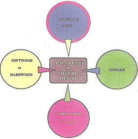 Decay+diagram