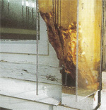 timber window repair