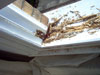 rotten window sill