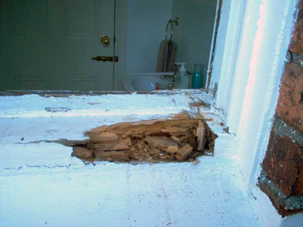 rotten window sill