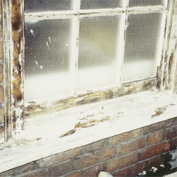 rotten window timber